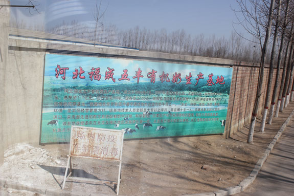 040612_china2
