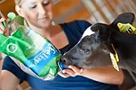 041312 perfect udder full
