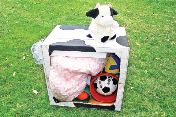 Carboard cow