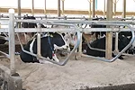 1512pd fulwider 1 full