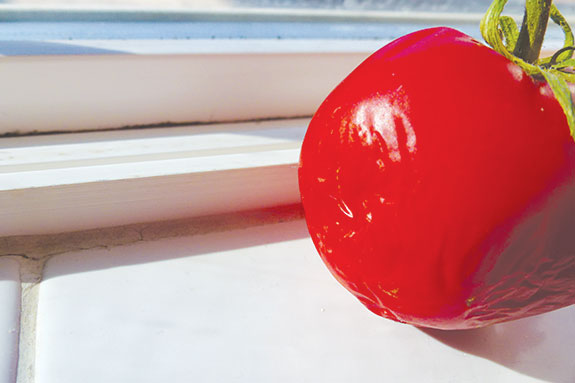 Tomato