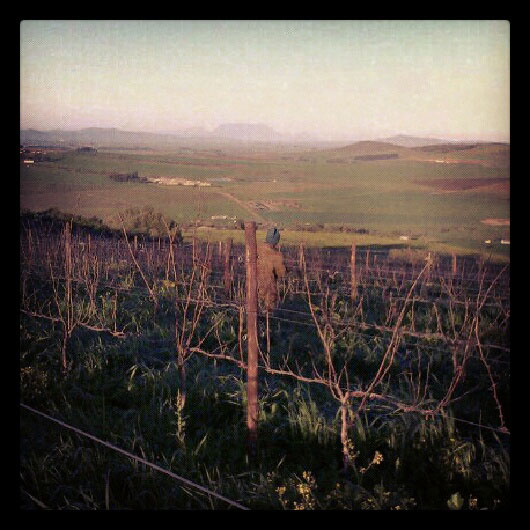 120712_southafrica2