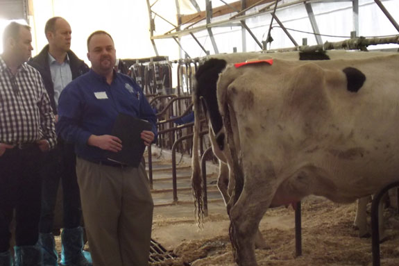 121312_UKdairyprecision2
