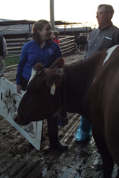 121312_UKdairyprecision3