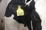 031513 fertility full