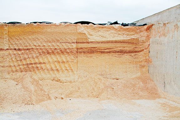 Squeezing pennies from high-moisture shelled corn - | Ag Proud