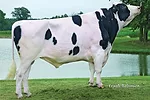 052213 million bull full