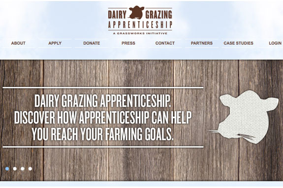 070913_dairygrazing