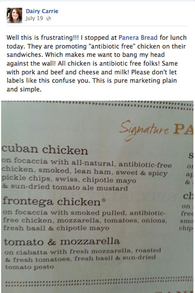 073013_panera