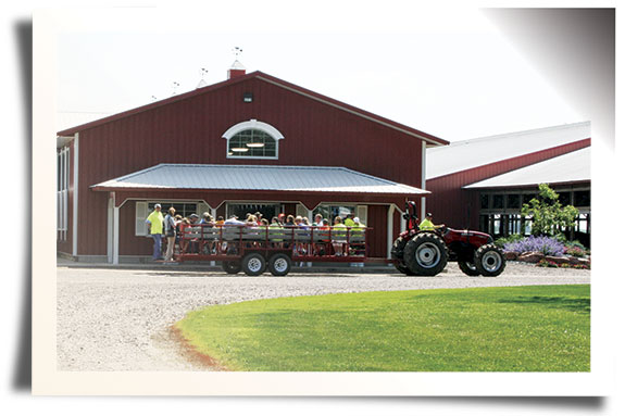 Farm tour