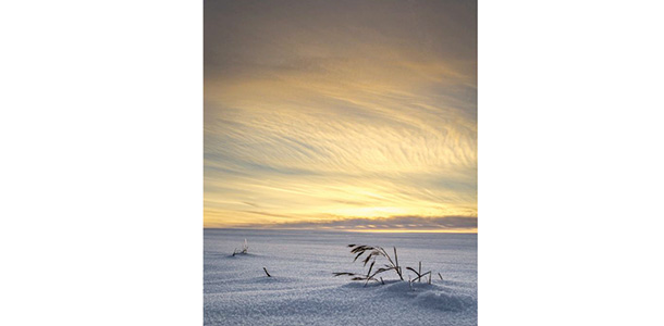 Sunset over a snowy plain