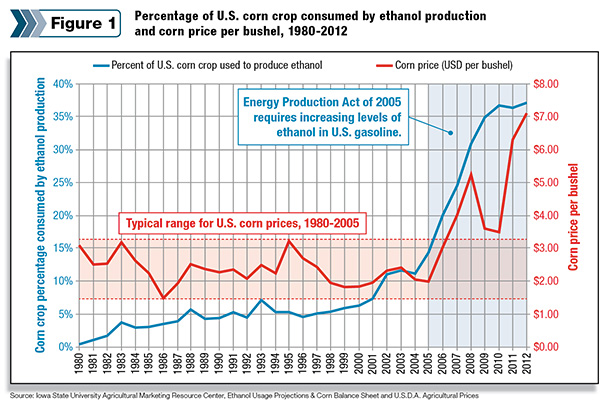 Chart of US corn crop consumed by ethanol production and corn price per bushel