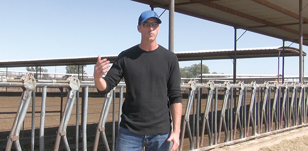 Jack Pirtle of P7 dairy on his farm