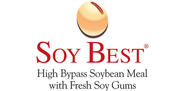 Soy Best logo