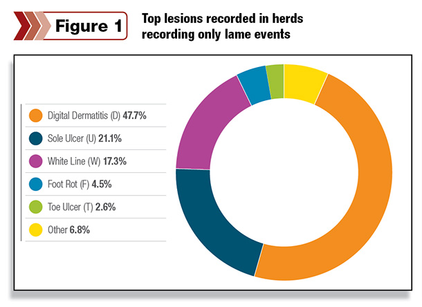 Findings among herds recording only lame events