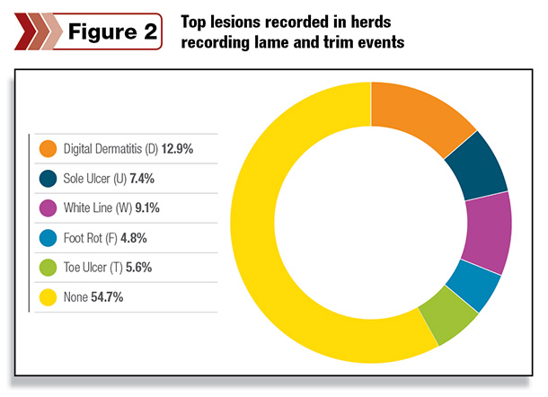 Findings among herds recording lame and trim events