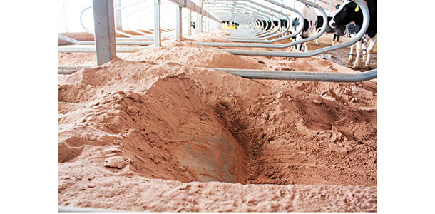 a sloped concrete brisket locator
