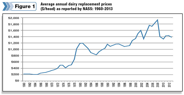 Average annual dairy replacement prices 
