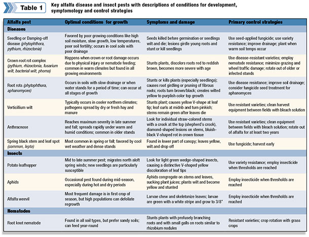 Key alfalfa diseases and insect pests with descriptions of conditions for development, symptomology and control strategies