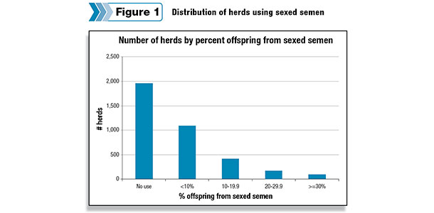 Milk yield and sexed semen