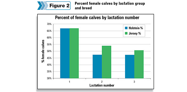use of sexed semen and lactation