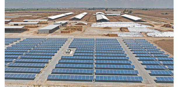 Lakeside Dairy solar panel project