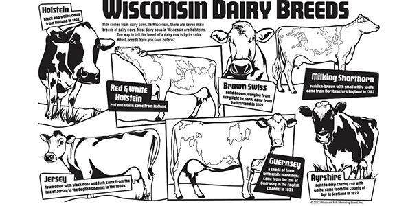 Wisconsin dairy breeds coloring page