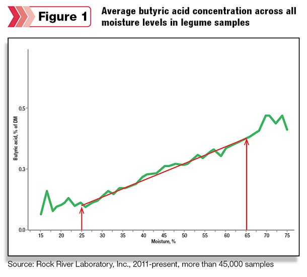 Butyric acid in legumes