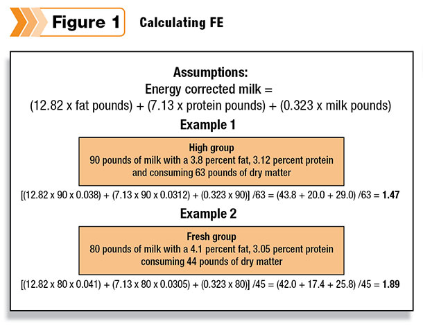 Calculating feed efficiency