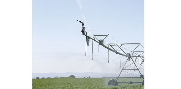 sprinkler in a field