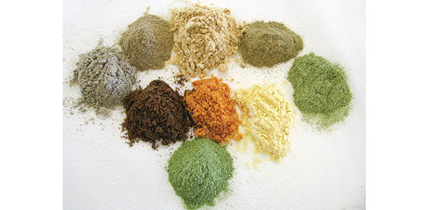 variety of cattle feeds