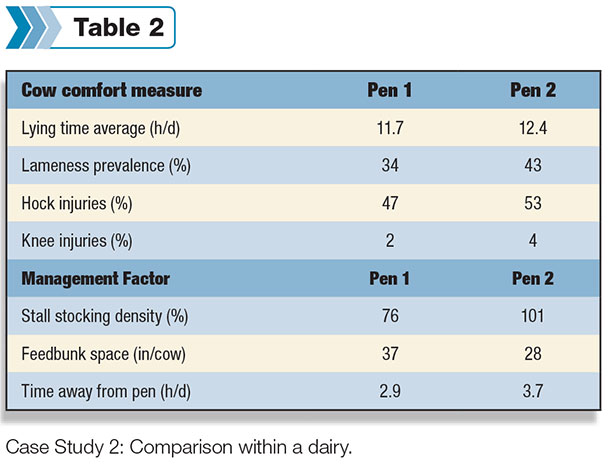 cow comfort within a dairy