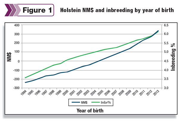 HOlstein inbreeding