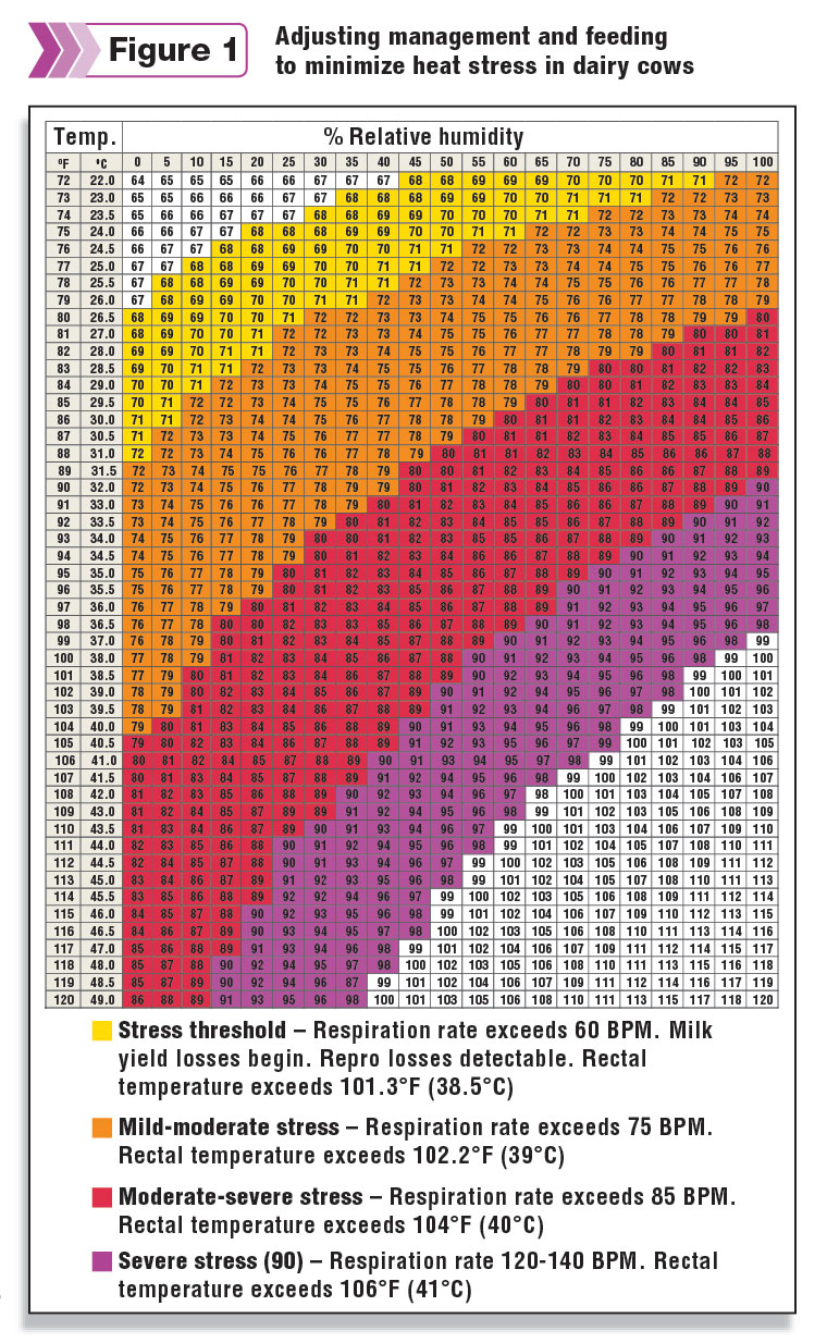 dairy cow heat stress index