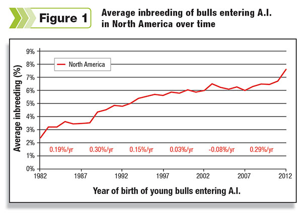 Averaging inbreeding of bulls