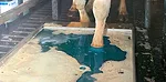 080714 blue footbath