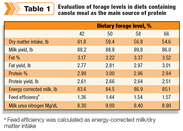 forage and canola in diets