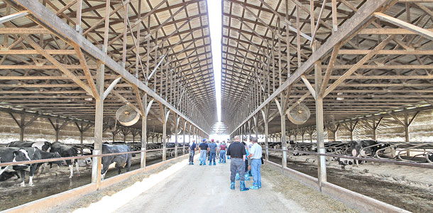 compton dairy