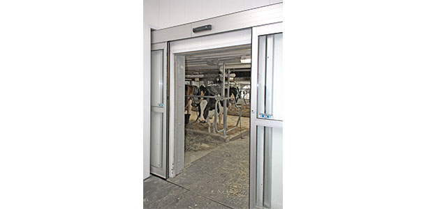 motion sensor doors
