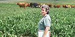 1614pd boylen laura paine