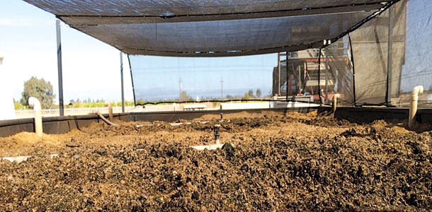 biofiltro water system