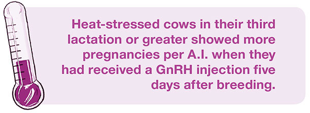 heat stress factoid