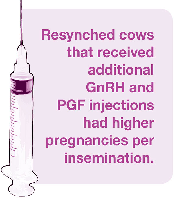 syringe