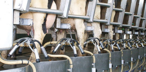Vacuum testing at milking provides results to avoid milking machine ...