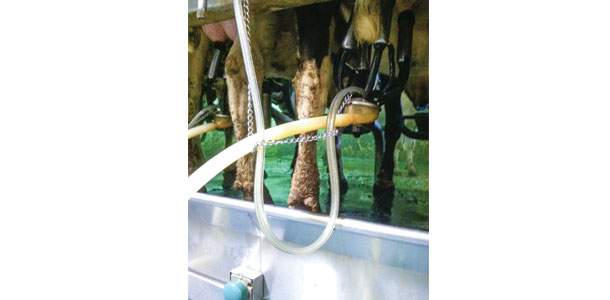 milking equipment