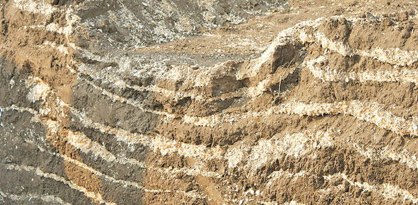 soil compaction