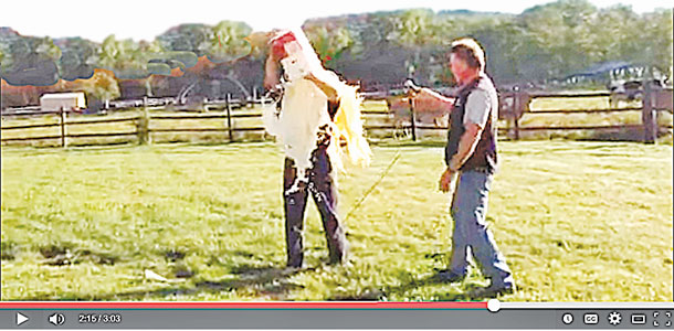 ice bucket challenge