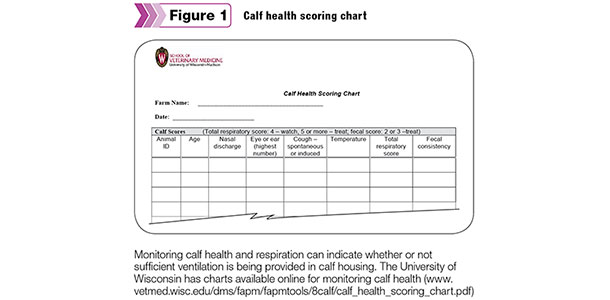 calf health scoring chart