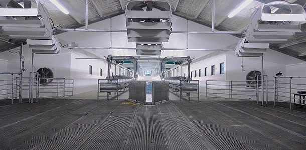 dair holding area