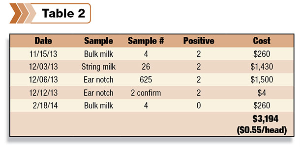 positive milk samples